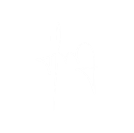 light logo